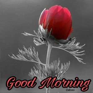 Meet your Posher, Keyur